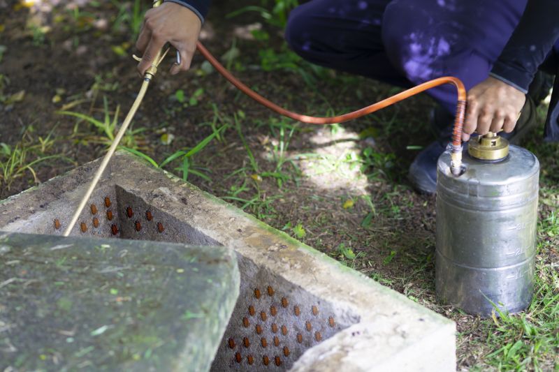 Spider Fumigation Service in Katy, TX