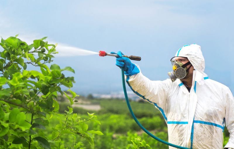 Spider Fumigation Service in Wilmington, DE