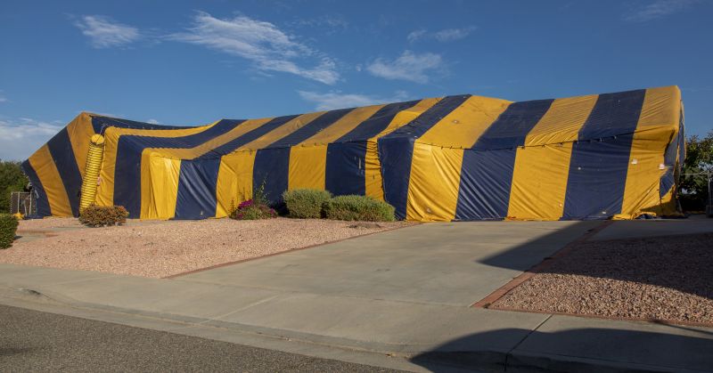 Termite Tenting in Katy, TX