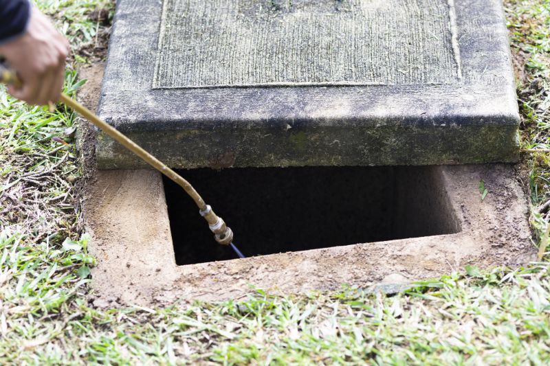 Rat Fumigation Service in Bellingham, WA