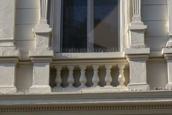 Pigeon Spike Installation
