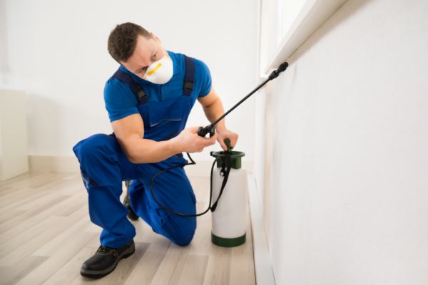 Pest Extermination Service