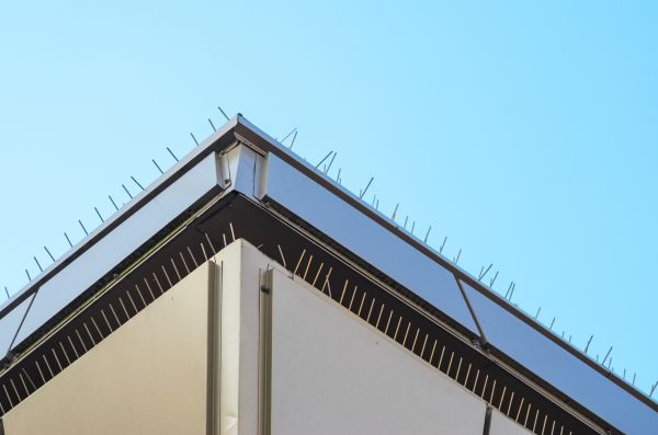 Avian Deterrent Installation