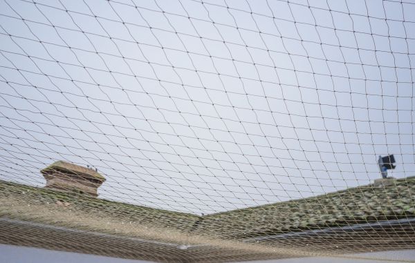 Bird Exclusion System Install