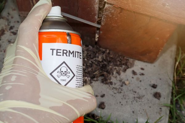 Anti Termite Treatment