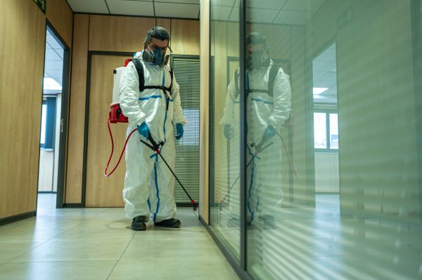 Bed Bug Fumigation