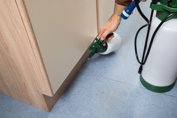 Household Pest Removal