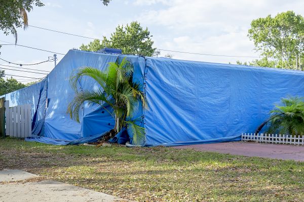 Home Fumigation